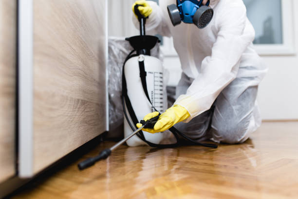 Best Pest Removal Services  in New Berlin, IL