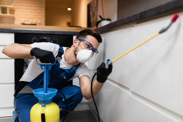 Best Exterminator Services  in New Berlin, IL