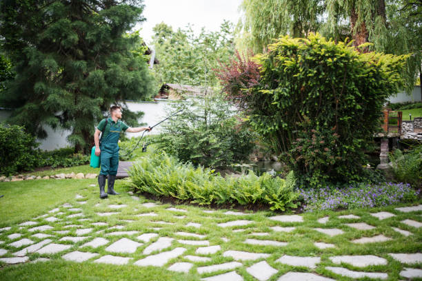 Best Ant Control Services  in New Berlin, IL
