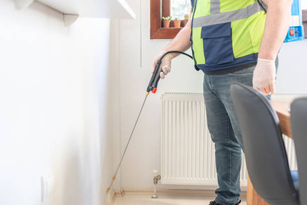 Wasp Removal Services in New Berlin, IL