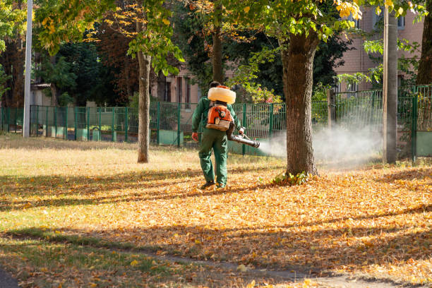 Best Affordable Pest Control Services  in New Berlin, IL