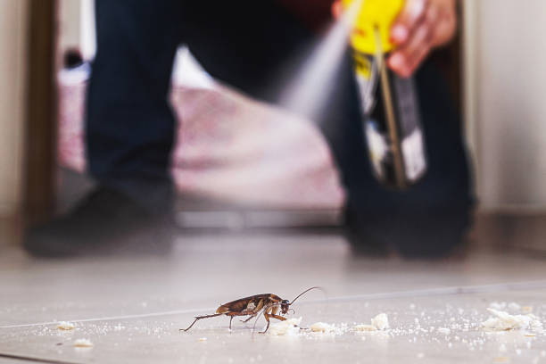 Best Cockroach Control Services  in New Berlin, IL