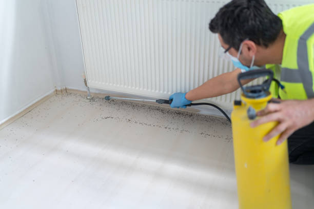 Best Wasp Removal Services  in New Berlin, IL