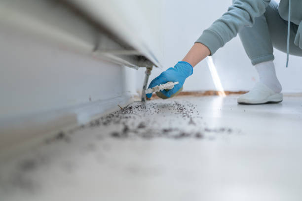 Reliable New Berlin, IL Pest Control Solutions