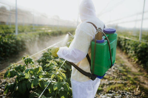 Best Flea Control Services  in New Berlin, IL
